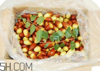 ​子弹头枣怎么保存 子弹头枣能放冰箱吗