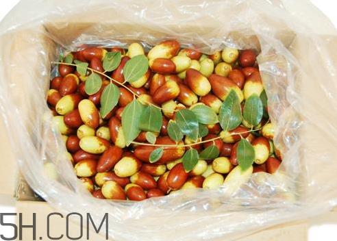 子弹头枣怎么保存 子弹头枣能放冰箱吗