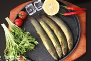 泥鳅怎么吃 香煎泥鳅更美味