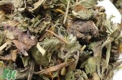 婆婆丁晒干了怎么吃?婆婆丁晒干后怎么食用?