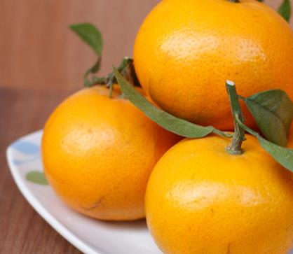 沃柑的功效作用 沃柑的营养价值