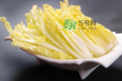 娃娃菜是什么季节的？娃娃菜什么时候种植
