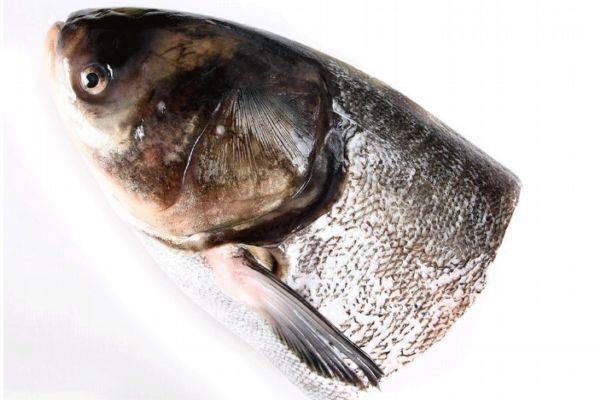 鳙鱼有什么营养价值呢 鳙鱼怎么做好吃呢