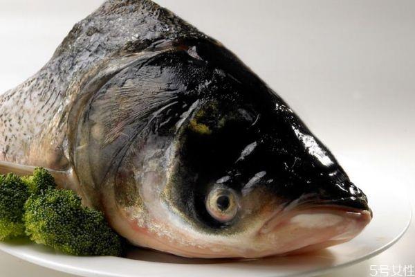 鳙鱼有什么营养价值呢 鳙鱼怎么做好吃呢