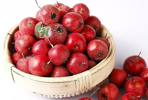 山楂是酸性还是碱性？山楂是凉性还是热性