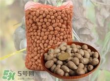 山药豆发芽了还能吃吗?山药豆发芽能不能吃?