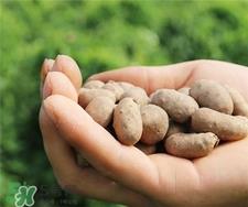 山药豆发芽了还能吃吗?山药豆发芽能不能吃?