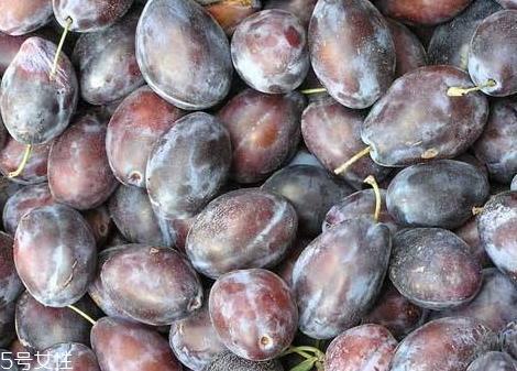 加州西梅上市时间 加州西梅保存方法