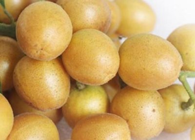 ​黄皮果有多少种颜色？黄皮果核有什么用处吗