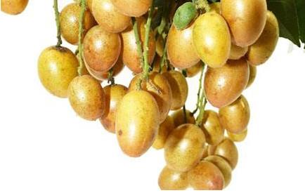 黄皮果有多少种颜色？黄皮果核有什么用处吗