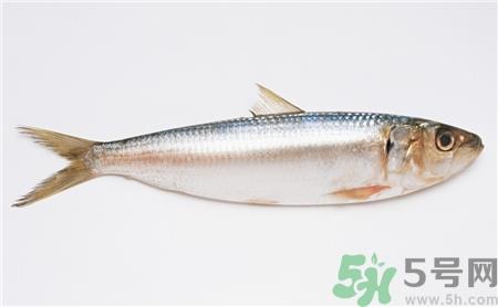 小黄鱼怎么清洗?小黄鱼怎么处理?