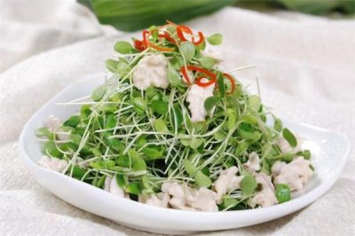 ​香椿苗的做法 香椿苗适合哪些人吃