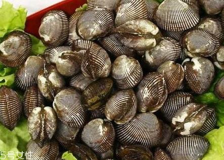 毛蚶什么部位不能吃 毛蚶里面黑色的能吃吗 毛蚶什么部位不能吃 毛蚶里面黑色的能吃吗