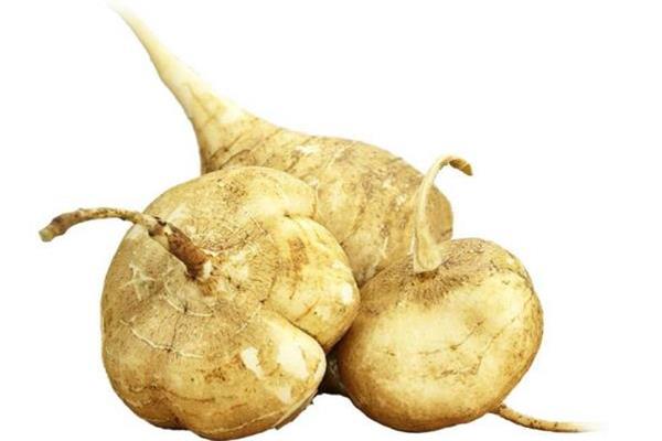 吃凉薯会肚子疼吗 为什么吃凉薯肚子疼 吃凉薯会肚子疼吗 为什么吃凉薯肚子疼