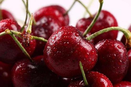 车厘子坏了是什么味道 车厘子变质了是怎样的