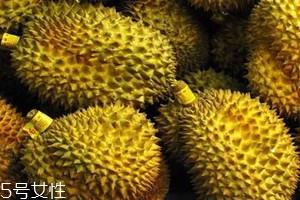 越南榴莲多少钱一斤 越南榴莲与泰国榴莲的区别