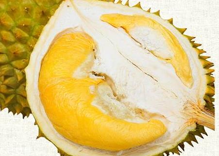 越南榴莲多少钱一斤 越南榴莲与泰国榴莲的区别