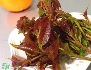 香椿可以冷冻吗？香椿冻了能吃吗？