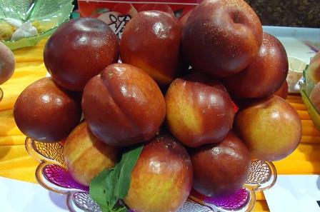 三华李可以用盐泡吗？三华李能用盐水泡吗