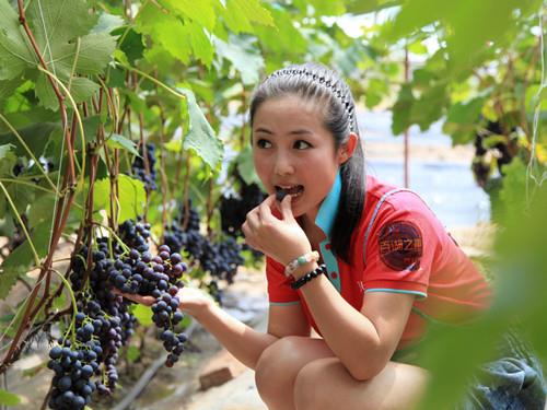 葡萄没熟能吃吗?葡萄没熟有毒吗