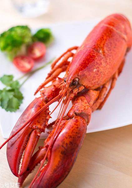 波士顿龙虾清蒸多久?波士顿龙虾蒸几分钟? 波士顿龙虾清蒸多久?波士顿龙虾蒸几分钟?