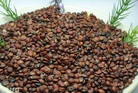 柏子仁和酸枣仁怎么吃 柏子仁和酸枣仁的功效