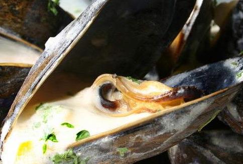 河蚌里面的黑包能吃吗 河蚌里面的黑包是什么