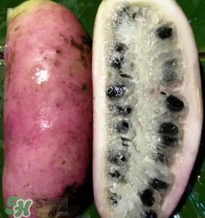 八月瓜的籽能吃吗?八月瓜的籽可以种吗 八月瓜的籽能吃吗?八月瓜的籽可以种吗