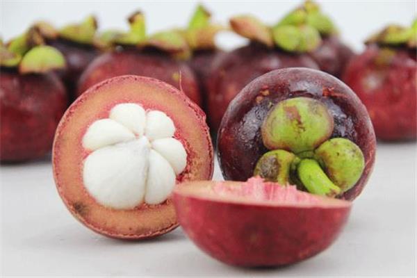 山竹皮怎么泡水喝 山竹皮煮水步骤