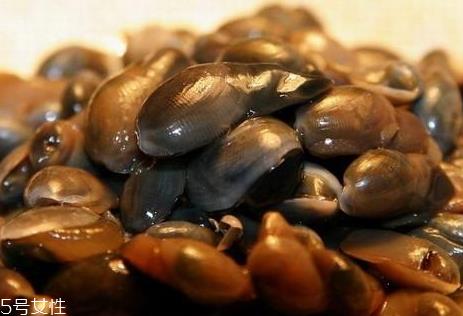 泥螺有寄生虫吗 泥螺怎么杀死寄生虫