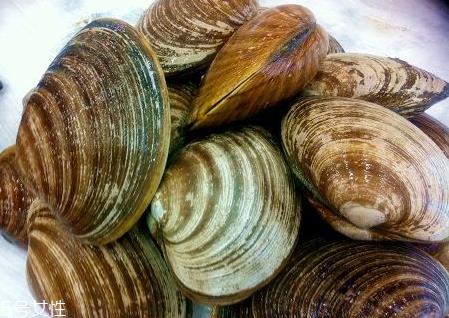 毛蛤蜊煮多长时间 煮毛蛤蜊的技巧 毛蛤蜊煮多长时间 煮毛蛤蜊的技巧