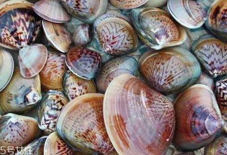 毛蛤蜊煮多长时间 煮毛蛤蜊的技巧 毛蛤蜊煮多长时间 煮毛蛤蜊的技巧