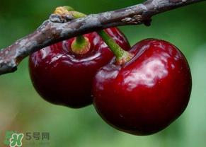 六月份还有樱桃吗？6月还有樱桃吗？