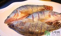 鳜鱼是桂鱼吗？鳜鱼和桂鱼的区别