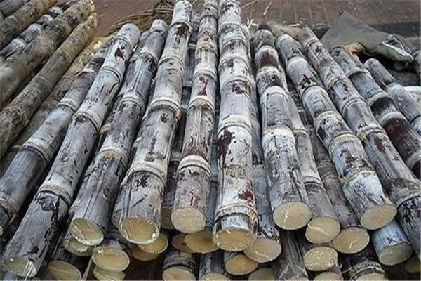 甘蔗能降火吗 甘蔗降火有用吗