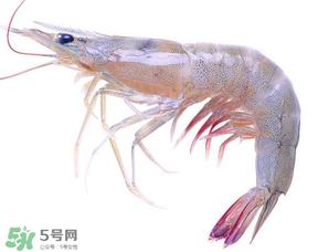 虾变绿了能吃吗？冻虾变绿了能吃吗？