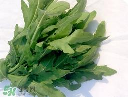 芝麻菜的营养价值_芝麻菜的功效与作用及食用方法