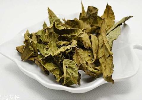 青钱柳茶哪里有卖 青钱柳茶怎么选购