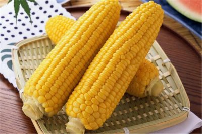 ​玉米减肥效果怎么样 玉米减肥吃哪种比较好