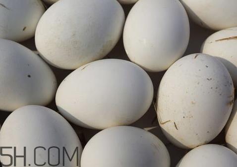 腌鹅蛋臭了还能吃吗 臭鹅蛋对身体有害吗