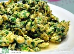 菱角菜是什么菜?菱角菜是什么样子?