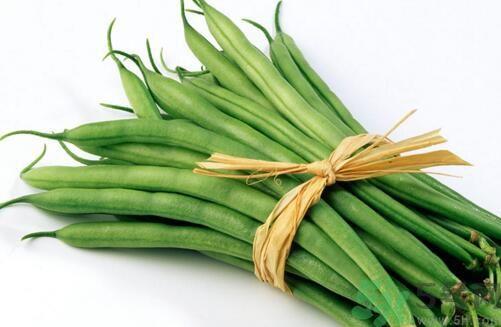 四季豆可以放冰箱吗？四季豆放冰箱好吗？