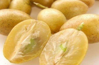 ​吃黄皮有什么注意的吗 什么人群不能吃黄皮呢