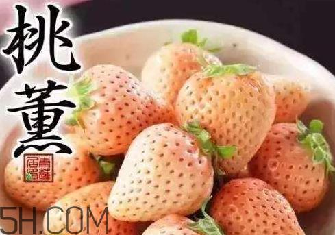 桃熏草莓多少钱一斤 桃熏草莓是转基因吗