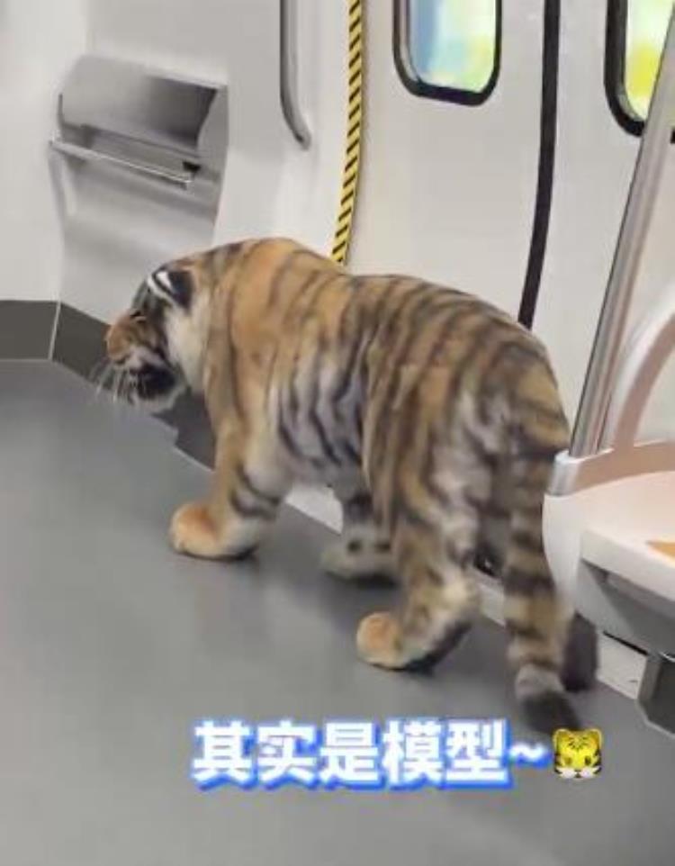济南地铁内惊现老虎网友太逼真官方回应来了