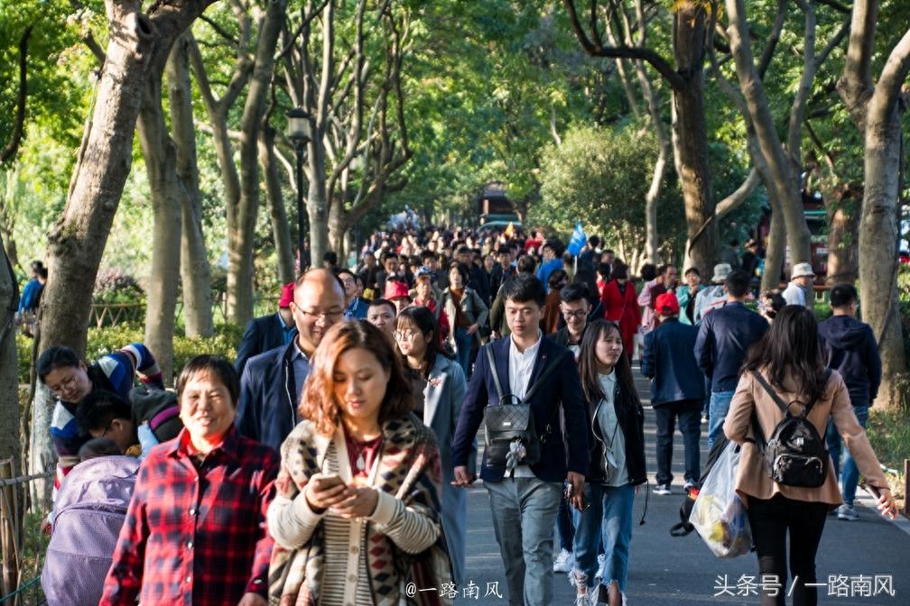 11月首个周末，杭州西湖人山人海，场景震撼，堪比春运！