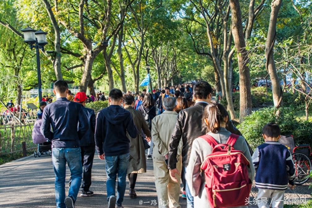 11月首个周末，杭州西湖人山人海，场景震撼，堪比春运！