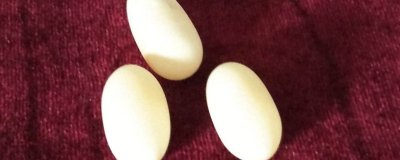 ​吃乌龟蛋的禁忌