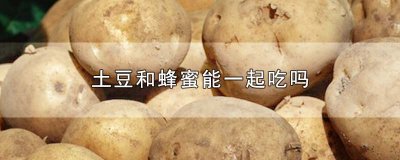 ​土豆和蜂蜜能一起吃吗