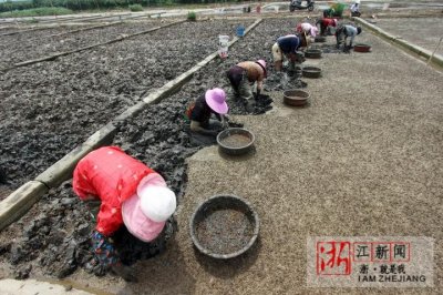 ​台州：养殖海蜈蚣 致富一方人